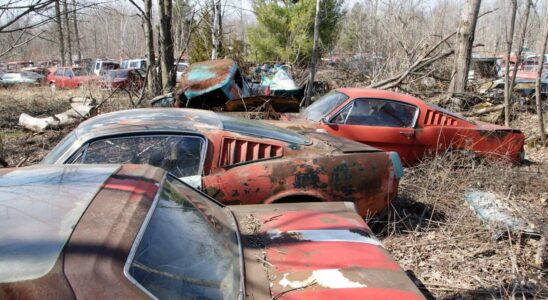 Découvrez un fascinant cimetière de voitures anciennes avec des moteurs remarquables laissés à l'abandon - incluant des Mustangs, des GTO et des Corvettes.