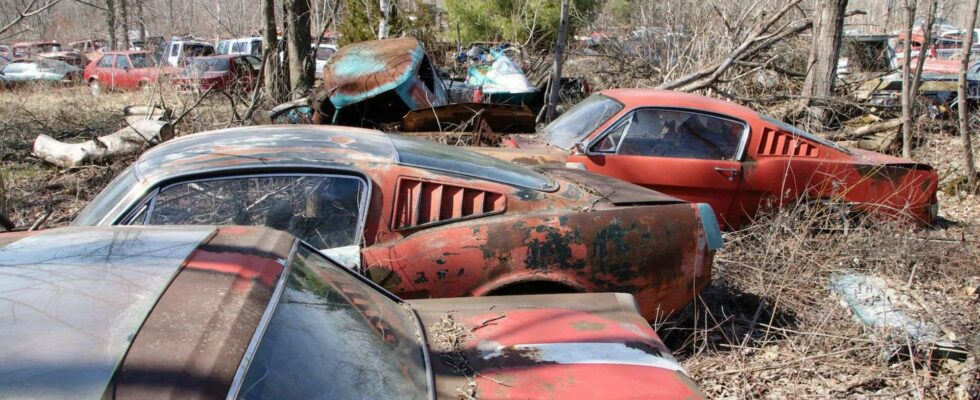 Découvrez un fascinant cimetière de voitures anciennes avec des moteurs remarquables laissés à l'abandon - incluant des Mustangs, des GTO et des Corvettes.