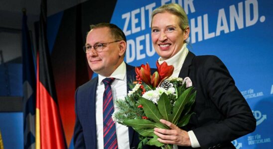 Weidel désignée candidate à la chancellerie par l'AfD