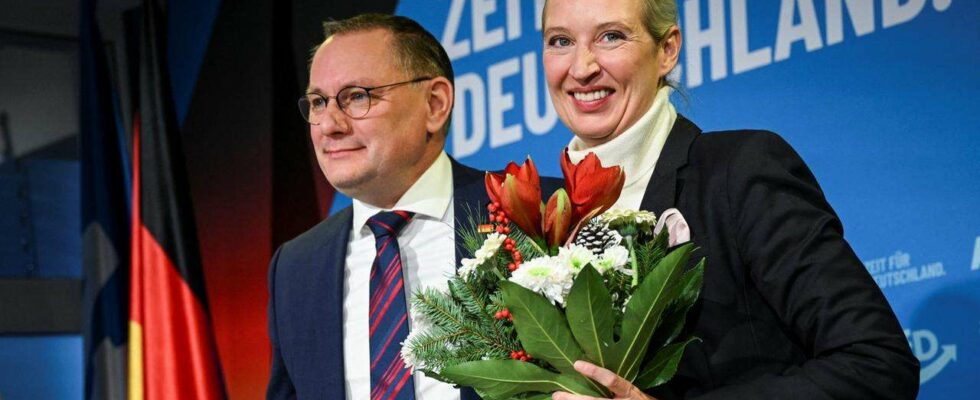 Weidel désignée candidate à la chancellerie par l'AfD