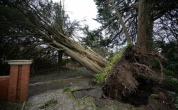 Un deuxième décès tragique lors de la tempête Darragh : un homme dans la quarantaine perd la vie écrasé par un arbre sous des vents de 150 km/h.