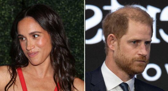 Le prince Harry préoccupé par les dépenses de Meghan Markle : l'héritage de 16 millions de dollars de la reine Elizabeth en jeu pour des projets ambitieux.