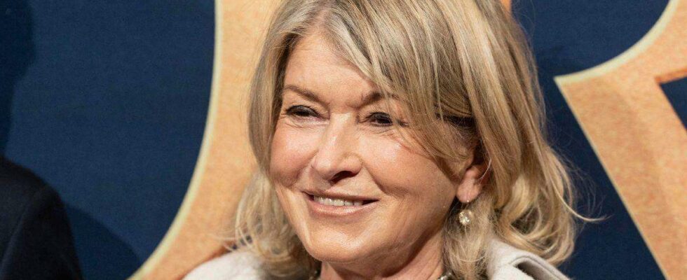 Titre : Révélations d'une amie de Martha Stewart en prison : Trahie après lui avoir sauvé la vie