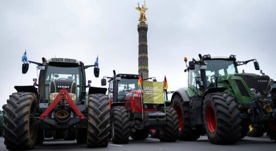 Appels à une réforme politique : forte baisse des revenus des agriculteurs selon n-tv.de