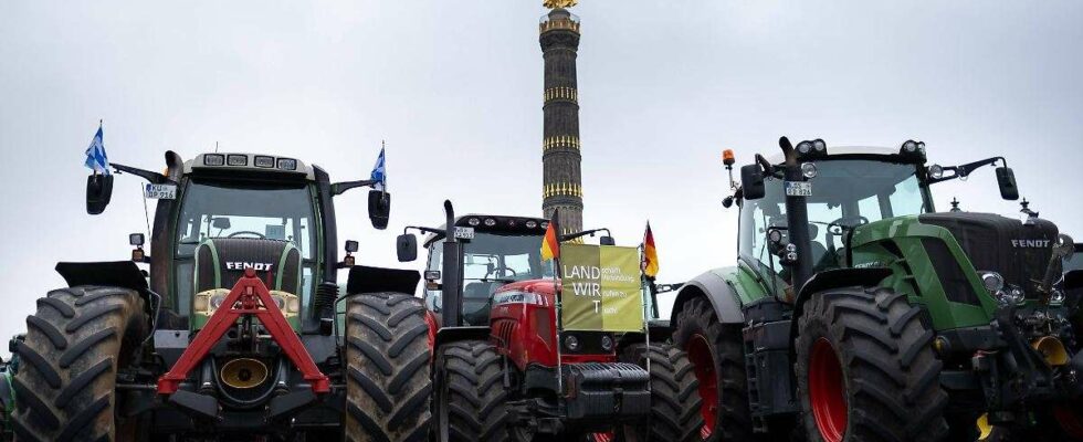 Appels à une réforme politique : forte baisse des revenus des agriculteurs selon n-tv.de