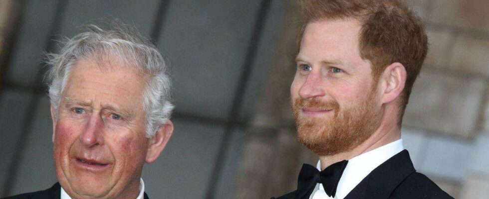 Le prince Harry et le roi Charles : une distance qui les empêche de célébrer Noël ensemble