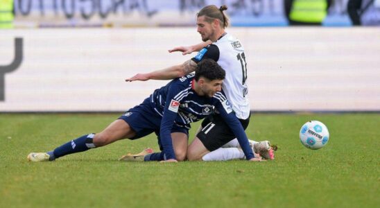 HSV obtient un match nul en jouant à dix contre le SSV Ulm