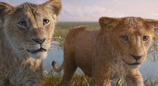 Mufasa : Le film Disney dévoile les origines du Roi Lion au cinéma