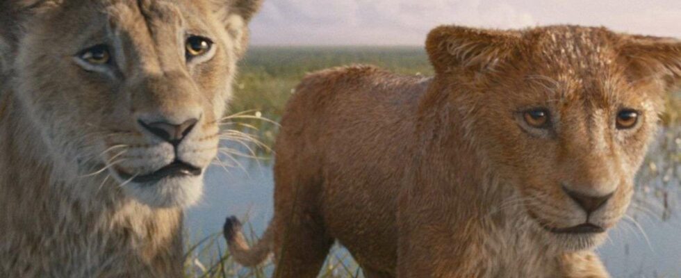 Mufasa : Le film Disney dévoile les origines du Roi Lion au cinéma