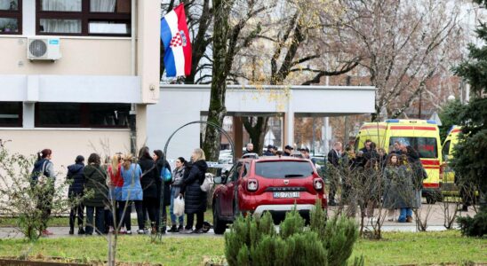 Un adolescent de 19 ans attaque au couteau dans une école, faisant une victime de 7 ans et blessant 7 autres, dont un enseignant en danger de mort.