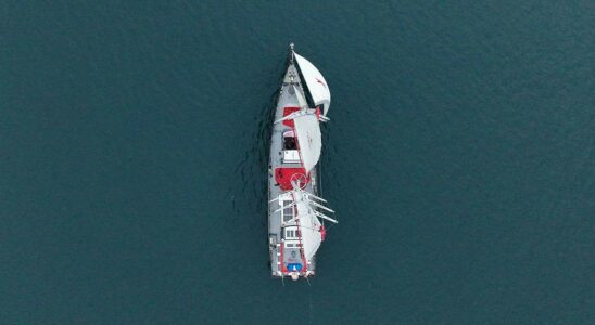 Les navires de fret adoptent la navigation à la voile : une solution durable