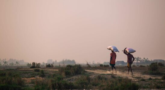 Une perception erronée de la fuite climatique : décryptage des discours des politiciens et des médias