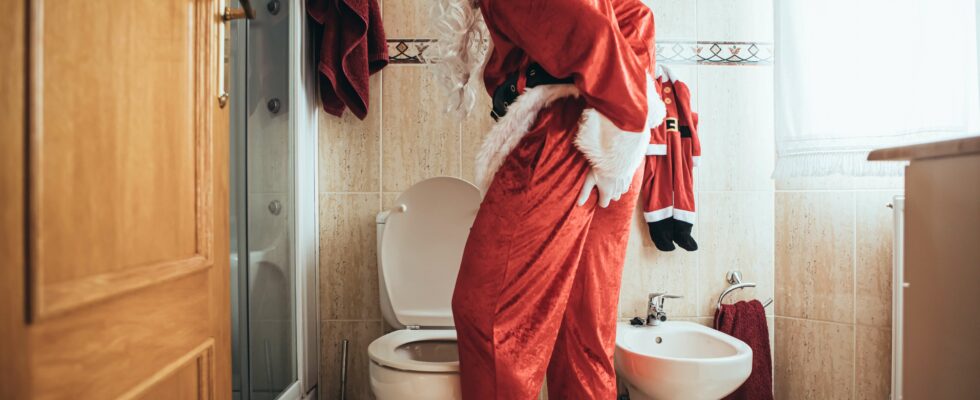 Titre : Ce que la couleur de votre urine dit de votre santé pendant les fêtes de Noël – 5 signes d'alerte à surveiller.