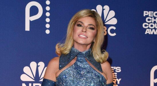 Shania Twain se dévoile sous un nouveau jour avec un look festif surprenant : découvrez la photo.