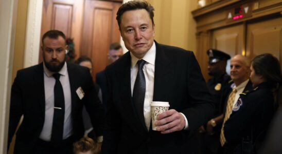 Elon Musk face à des accusations de représailles après un conflit lié à un visa