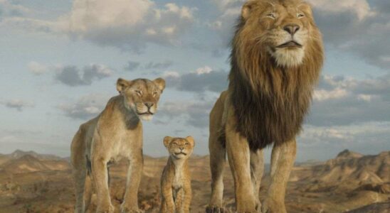 Date de disponibilité de 'Mufasa: Le Roi Lion' sur les plateformes de streaming : nos prévisions détaillées