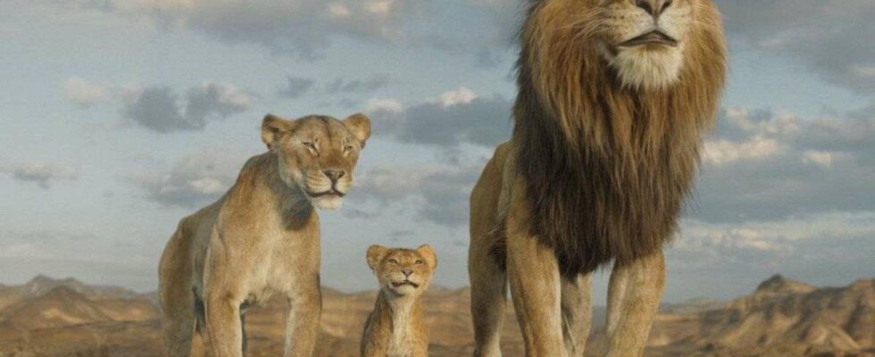 Date de disponibilité de 'Mufasa: Le Roi Lion' sur les plateformes de streaming : nos prévisions détaillées