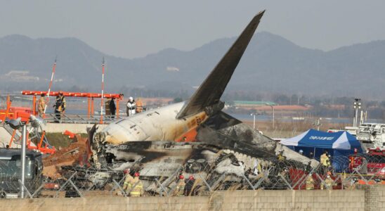 Un crash d'avion en Corée du Sud survenu peu après un signalement de collision aviaire