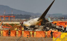 Un spécialiste de l'aviation conteste la théorie de la collision aviaire dans l'accident tragique d'un avion sud-coréen : une analyse déroutante