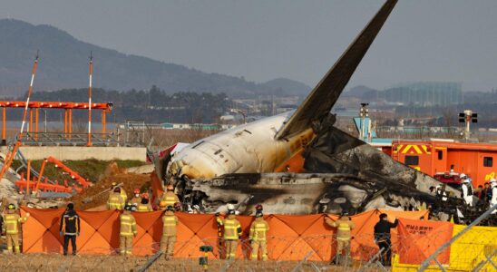 Un spécialiste de l'aviation conteste la théorie de la collision aviaire dans l'accident tragique d'un avion sud-coréen : une analyse déroutante