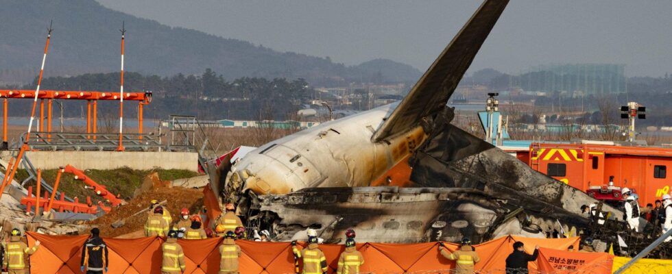 Un spécialiste de l'aviation conteste la théorie de la collision aviaire dans l'accident tragique d'un avion sud-coréen : une analyse déroutante