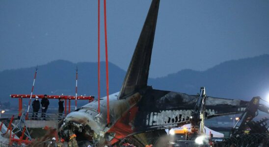 Un avion sud-coréen réalise 13 vols intensifs en 48 heures avant le crash, soulevant des inquiétudes sur son surmenage.