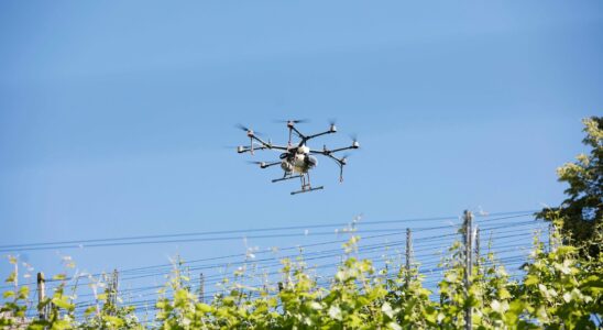 Les agriculteurs adoptent la technologie, mais redoutent la surveillance numérique par l'État