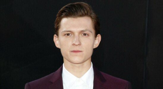 Tom Holland partage le déclic qui l'a poussé à choisir la sobriété : une force de volonté impressionnante