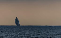 Titre : Exploration des mers du Sud : Les navires du Vendée Globe en mission scientifique pour la collecte de données