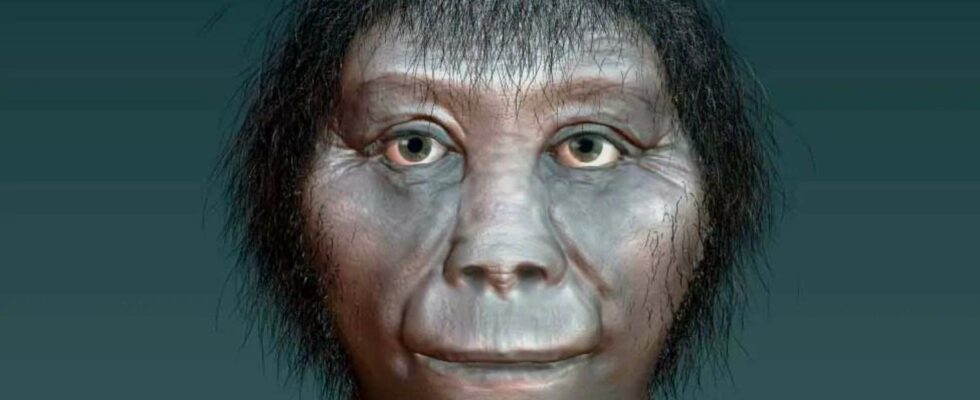 Un expert affirme qu'un humanoïde ressemblant à un singe, tel que « Littlefoot », pourrait toujours vagabonder sur Terre 50 000 ans après sa disparition.