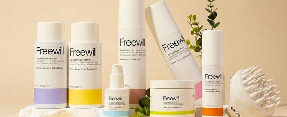 Exploration de la collaboration entre Sally Beauty et Freewill pour influencer le secteur des soins capillaires sur les réseaux sociaux.