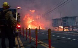 Incendies en Californie : Les célébrités témoignent sur l'impact sur leurs résidences, avec Diane Warren, Jamie Lee Curtis et Cameron Mathison de 'General Hospital'