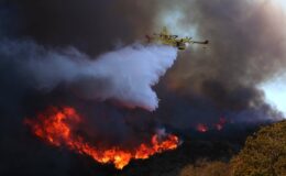 Tarifs réduits pour familles et animaux dans des dizaines d'hôtels de San Diego suite aux incendies de Los Angeles : découvrez la liste complète.