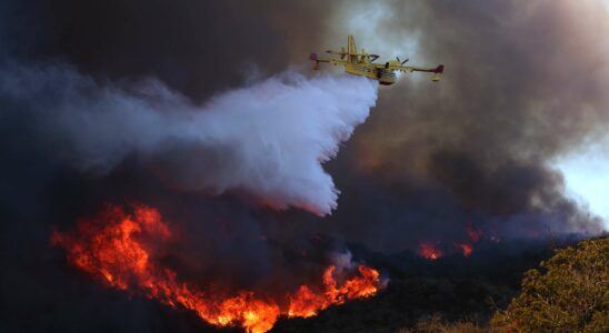 Tarifs réduits pour familles et animaux dans des dizaines d'hôtels de San Diego suite aux incendies de Los Angeles : découvrez la liste complète.