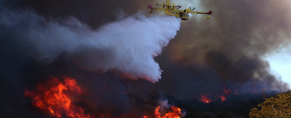 Tarifs réduits pour familles et animaux dans des dizaines d'hôtels de San Diego suite aux incendies de Los Angeles : découvrez la liste complète.