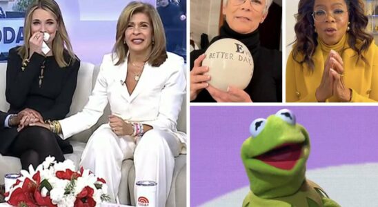 Hommages d'Oprah Winfrey, Jamie Lee Curtis et Kermit la grenouille à Hoda Kotb lors de son départ de Today