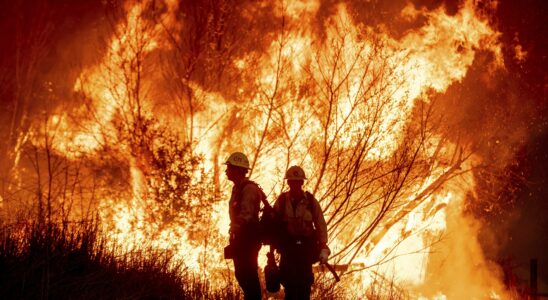 Un Britannique témoigne : il a aperçu la première lueur de l'incendie de forêt à Los Angeles en alertant sur le danger au même moment