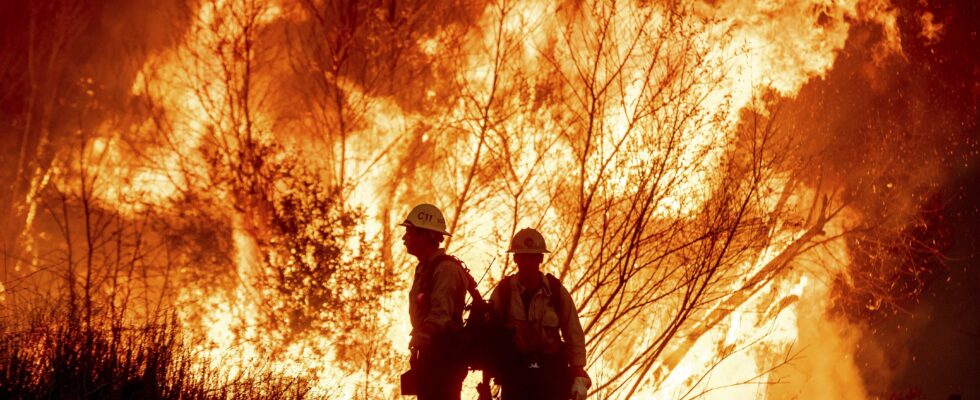 Un Britannique témoigne : il a aperçu la première lueur de l'incendie de forêt à Los Angeles en alertant sur le danger au même moment