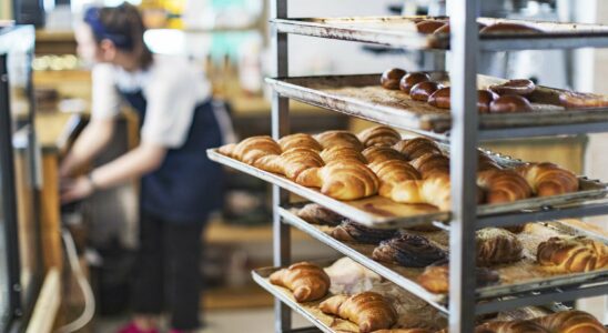 Une célèbre boulangerie centenaire annonce la fermeture définitive de ses établissements, entraînant le licenciement de 100 employés.