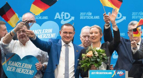 Congrès à Riesa : Weidel, candidate à la chancellerie pour l'AfD