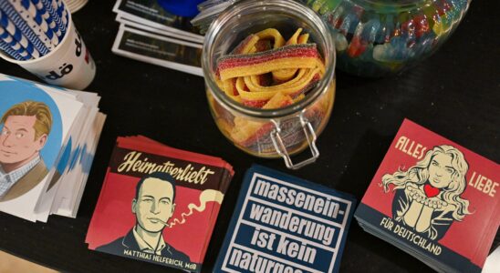 L'AfD envisage de dissoudre la Jeune Alternative : implications et enjeux