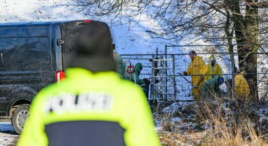 Londres interdit les importations de viande allemande en raison d'une épidémie de fièvre aphteuse