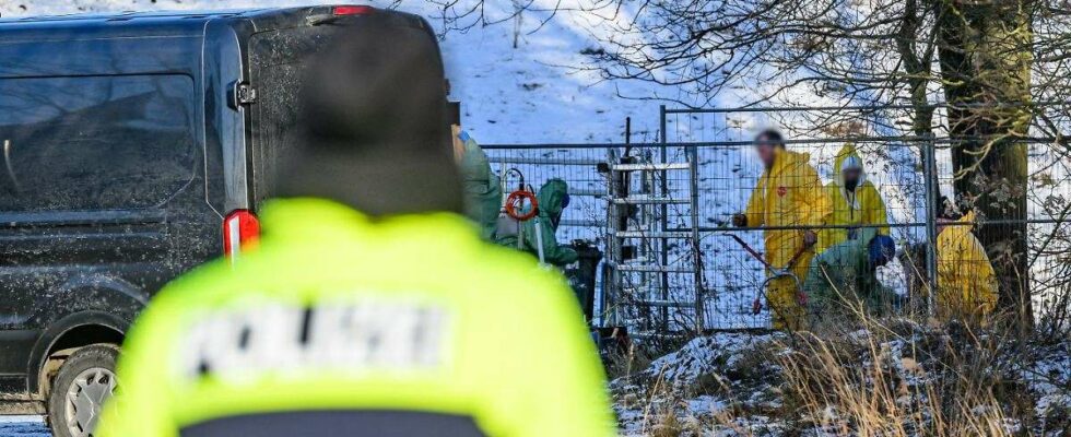 Londres interdit les importations de viande allemande en raison d'une épidémie de fièvre aphteuse