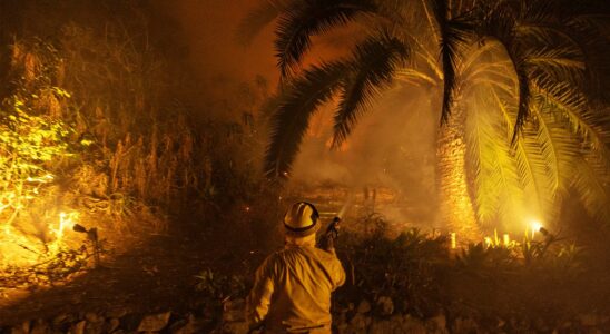 Un journaliste local témoigne de l'importance des nouvelles locales à propos de l'incendie de Sunset : un regard sur notre rôle essentiel dans la communauté