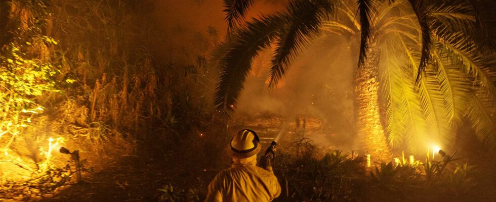 Un journaliste local témoigne de l'importance des nouvelles locales à propos de l'incendie de Sunset : un regard sur notre rôle essentiel dans la communauté