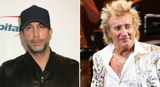 David Schwimmer dévoile avoir remis des documents de divorce à Rod Stewart sans qu'il le sache