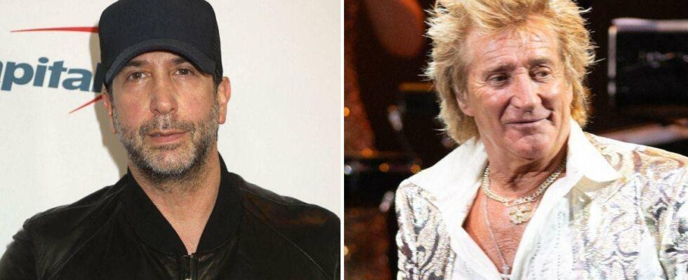 David Schwimmer dévoile avoir remis des documents de divorce à Rod Stewart sans qu'il le sache