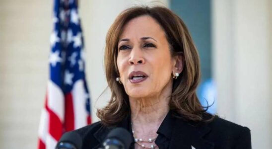 Kamala Harris critiquée pour ses conseils aux victimes d'incendie de Los Angeles lors d'un briefing confus