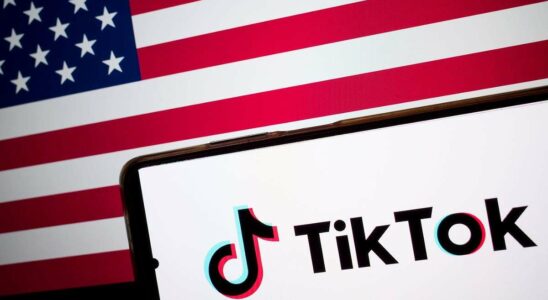 TikTok avertit les utilisateurs américains d'une possible suppression totale si l'App Store est interdit