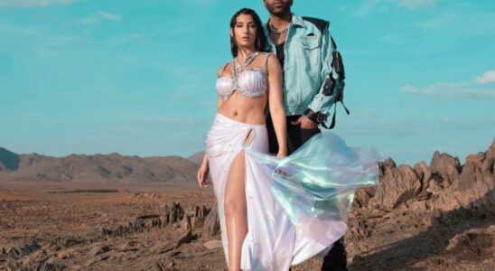 Réalisation du single interculturel 'Snake' de Jason Derulo et Nora Fatehi : Une fusion fluide et réussie